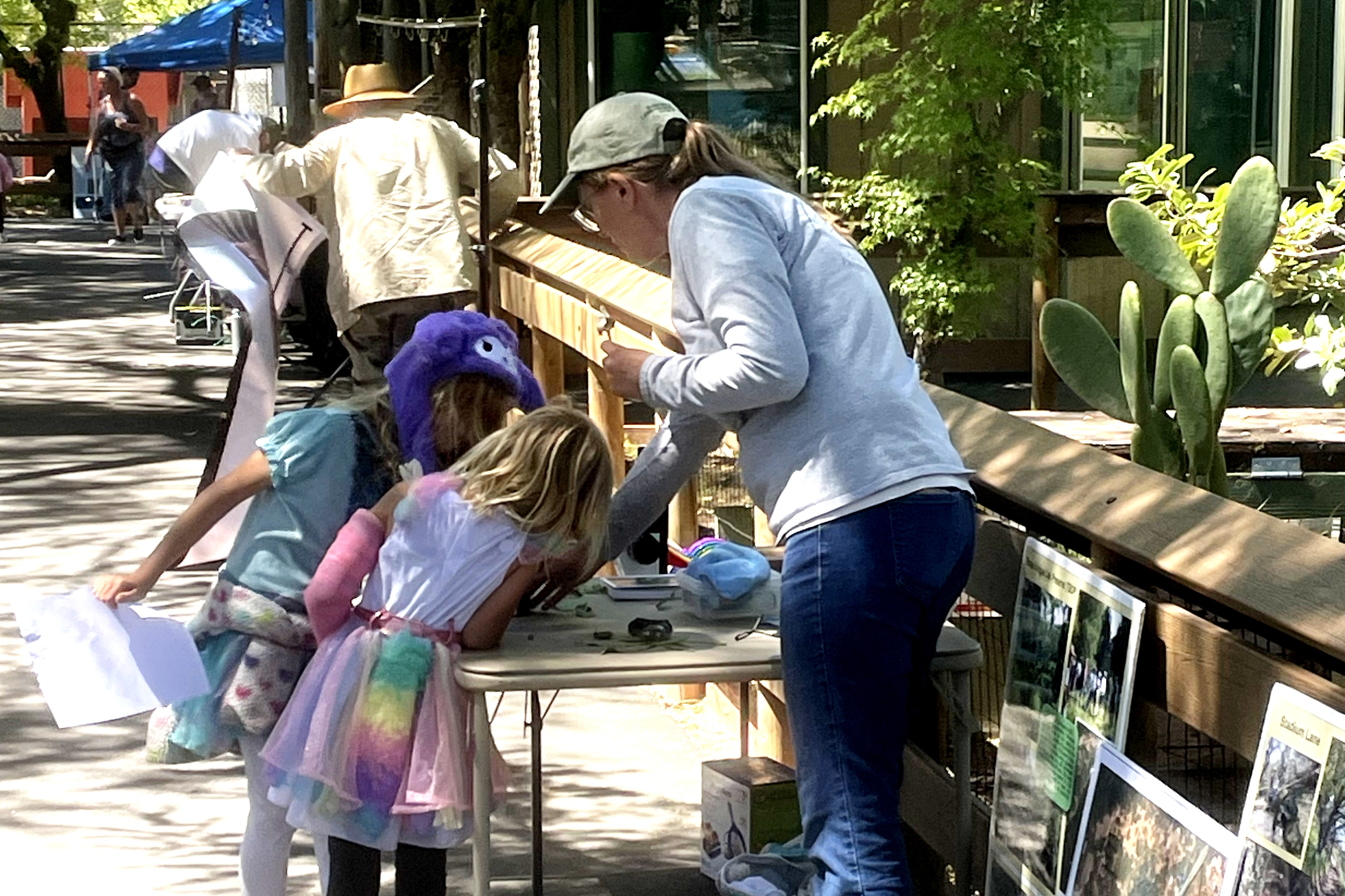 Kids looking at leaves through a magnifying glass and microscope.
